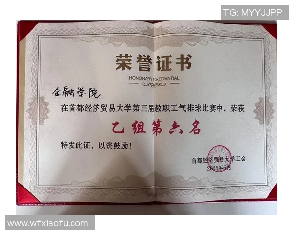 排球配合实力大比拼北京排球队荣获第三名佳绩