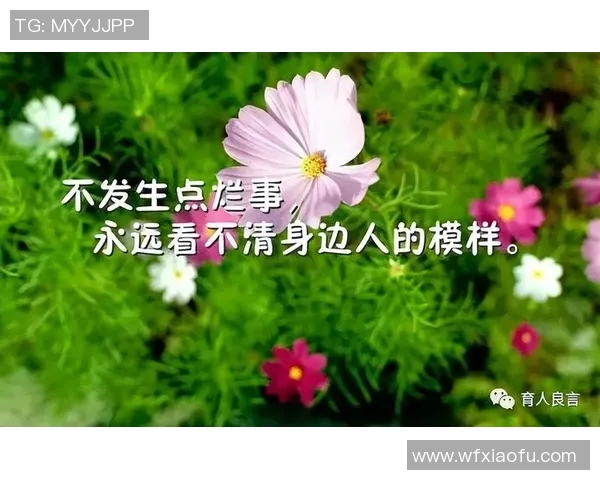 深度对话赵芳的篮球人生与梦想追求的心路历程