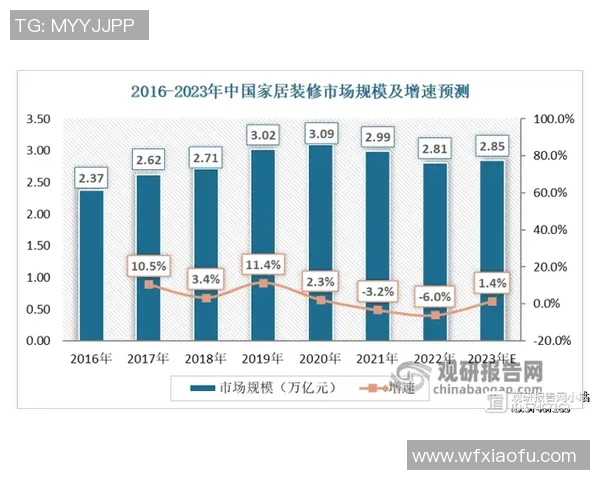 西安排球队转换策略深度解析与未来发展趋势探讨