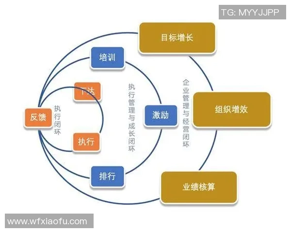 深圳排球队团队协作表现的深度数据分析与探讨